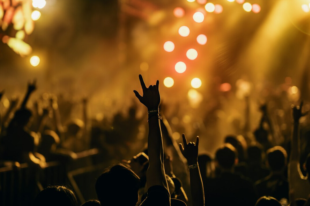 crowd at concert