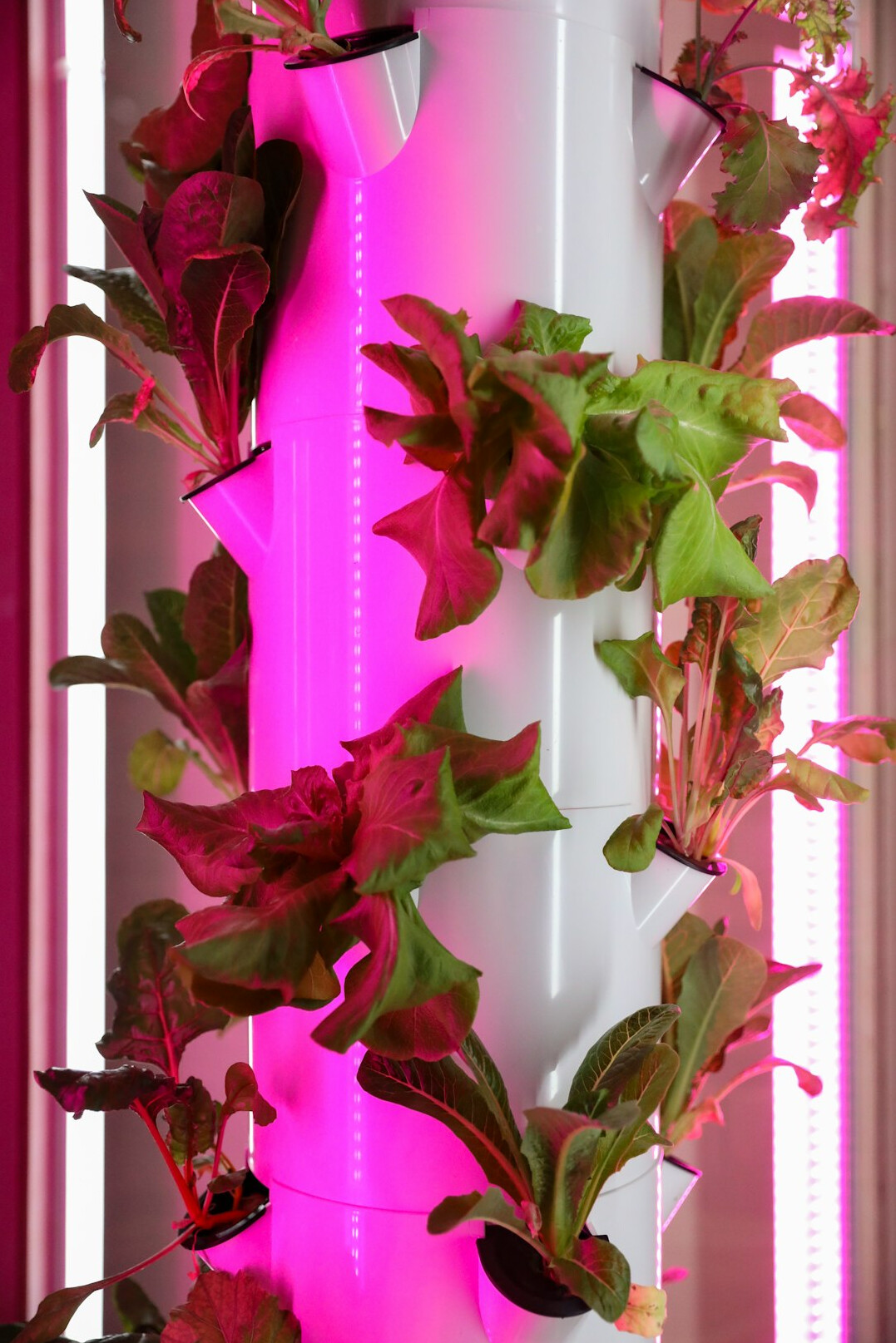 sustainable living